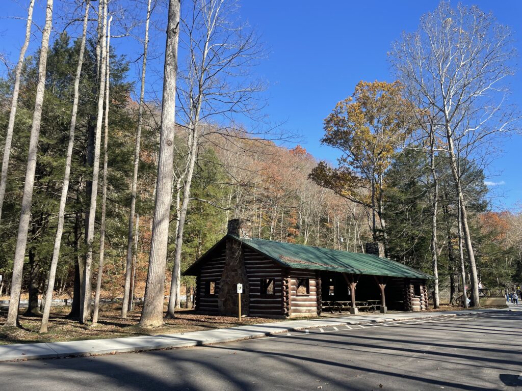 Shelter house with trees on either side silhouetted against blue sky