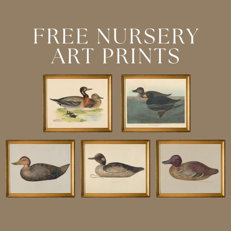 5 framed duck prints with the words Free Nursery Art Prints