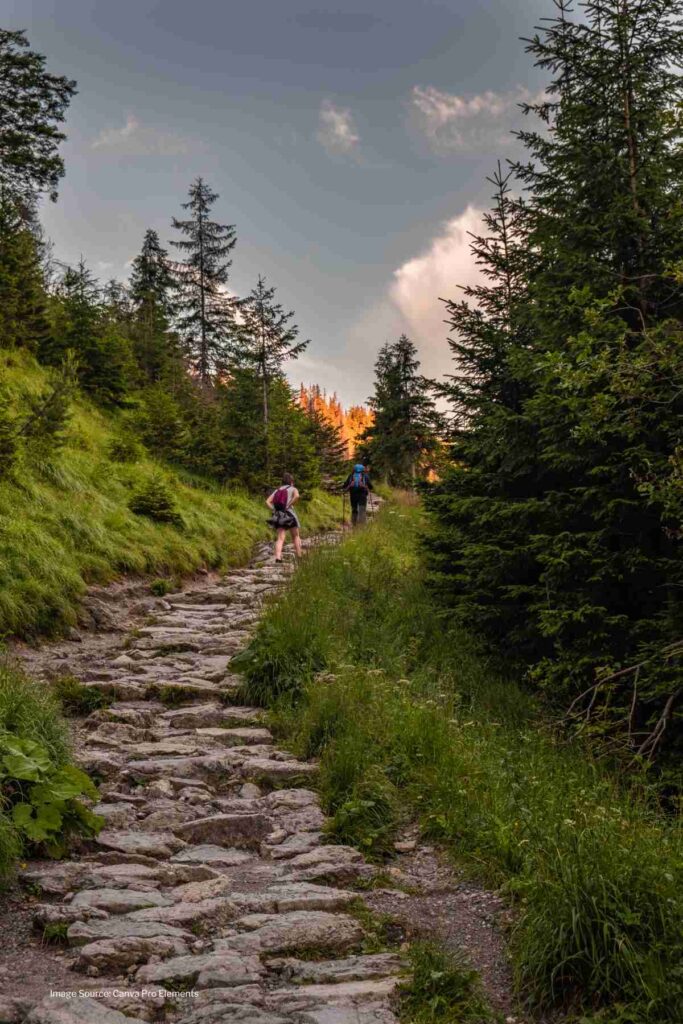 1000 Hours Outside Ideas: 10 Ways to Spend the Day Outside - Hello ...