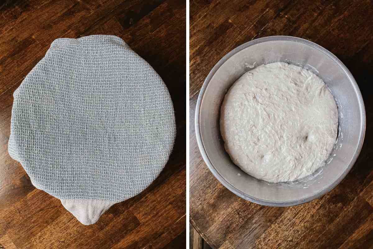 Grid of 2 metal mixing bowls; on left bowl covered with kitchen towel; on right bulk fermented unloaf sourdough bread dough
