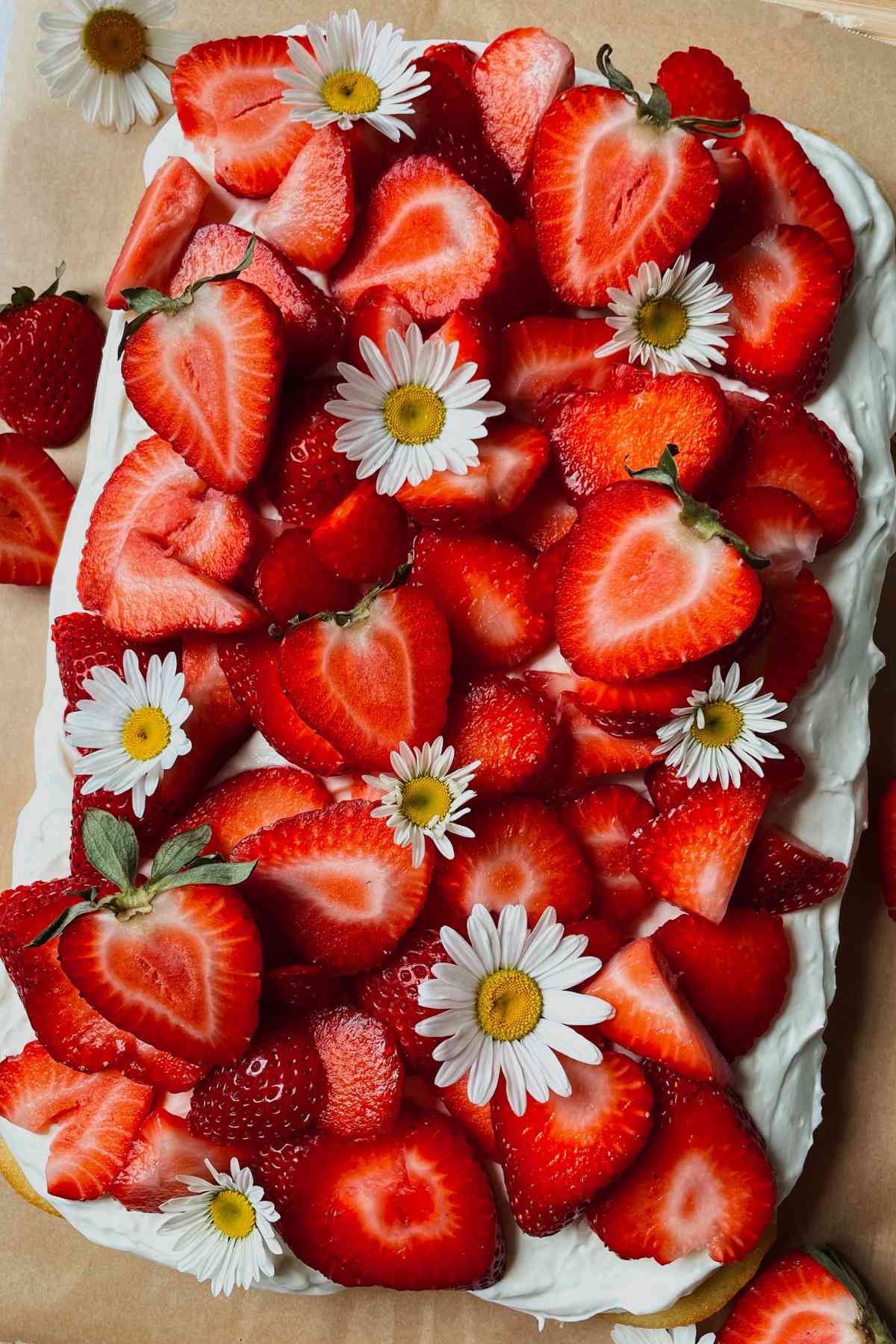 Sourdough discard strawberry shortcake bar with layer of shortcake, cream cheese frosting, and topped with sliced strawberries and white daisy flowers sitting on brown parchment paper