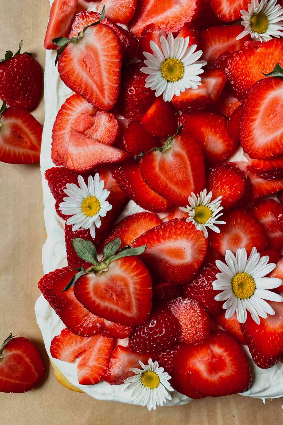 Close up of sourdough discard strawberry shortcake bar with layer of shortcake, cream cheese frosting, and topped with sliced strawberries and white daisy flowers sitting on brown parchment paper with sliced strawberry left to it on the parchment