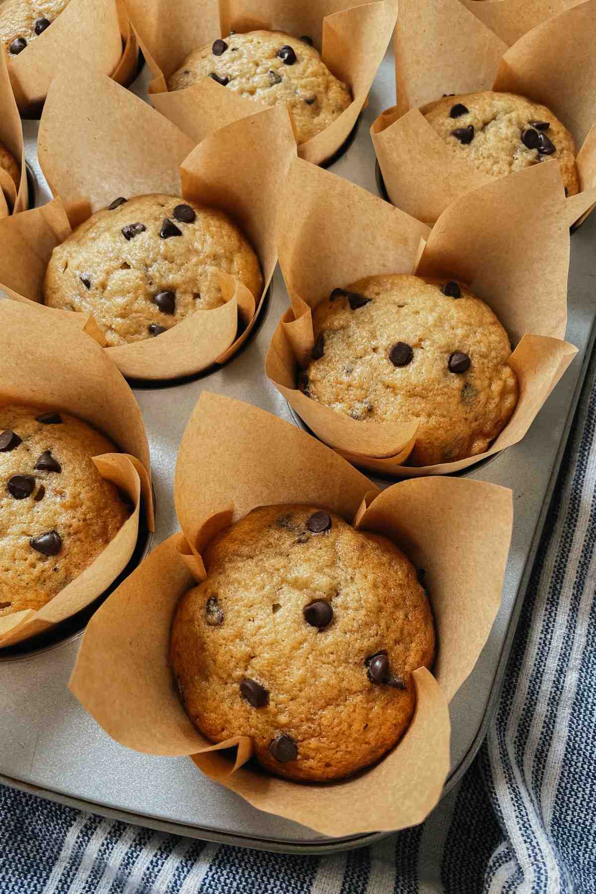 Sourdough banana bread muffins topped with chocolate chips in muffin tins