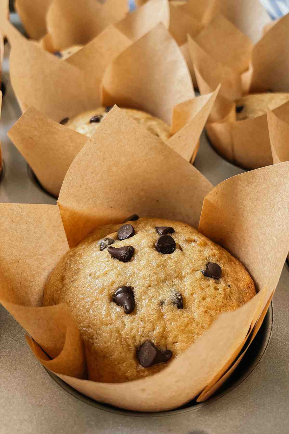 Sourdough banana bread muffin with chocolate chips on top in parchment paper
