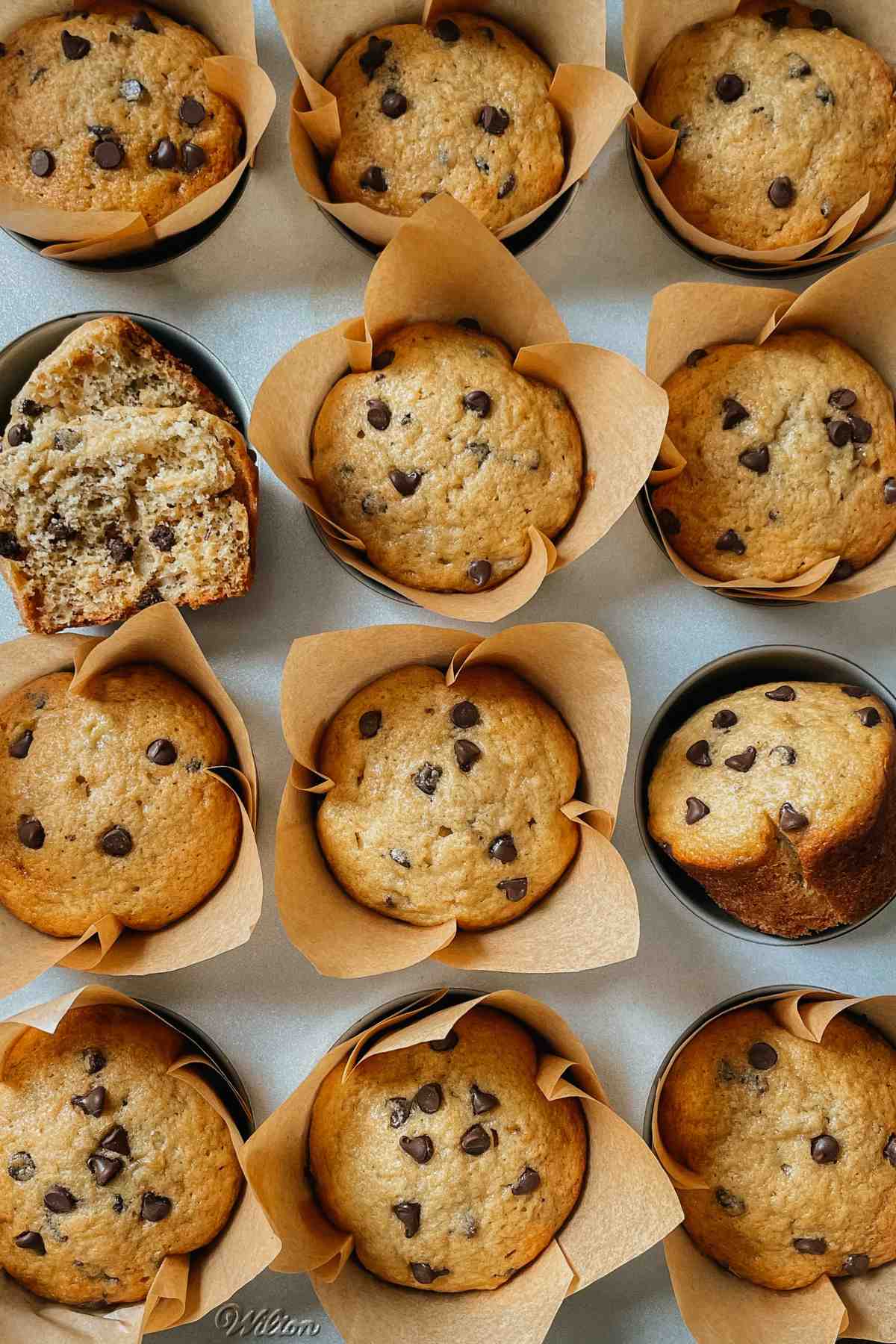 Sourdough banana bread muffins with chocolate chips in a muffin tin