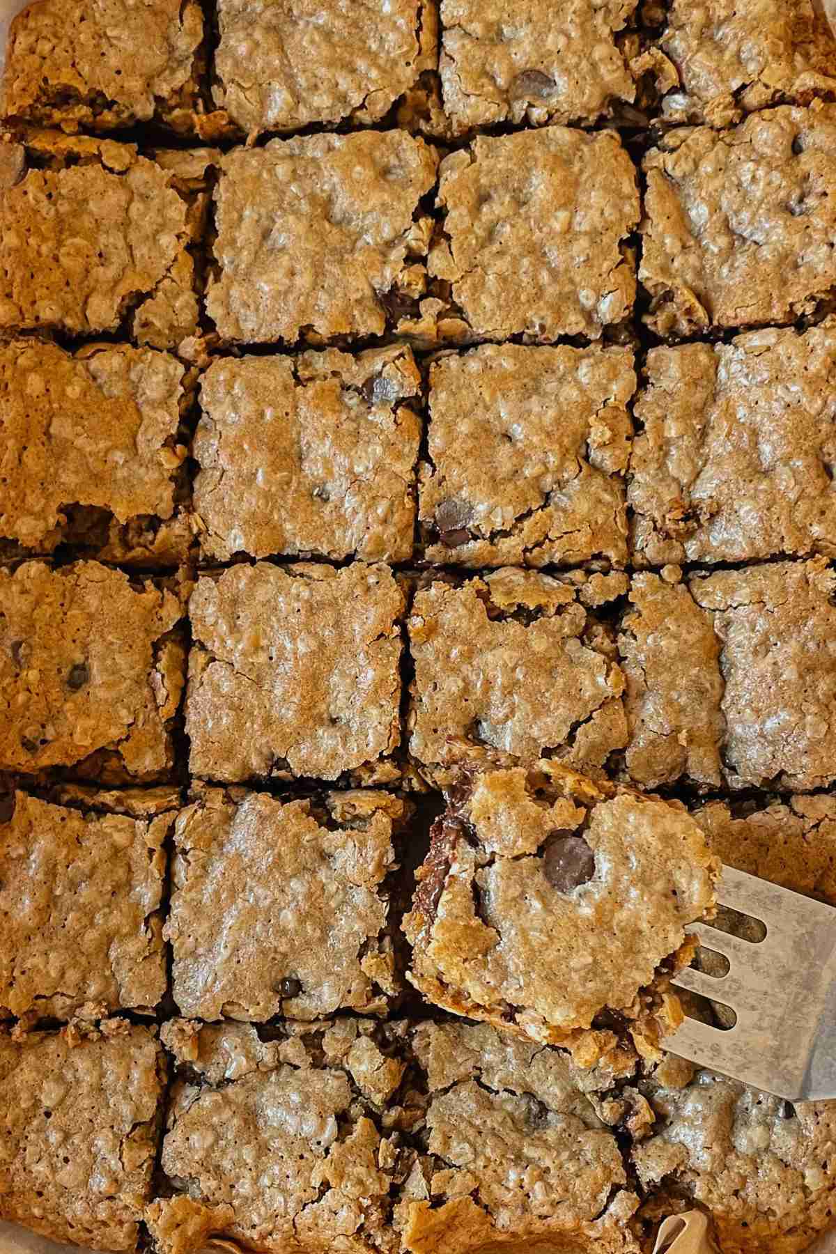 Sliced squares of sourdough oatmeal chocolate chip cookie bars in a parchment lined baking pan