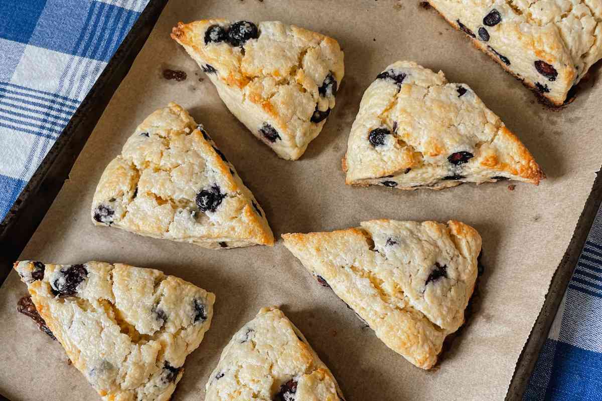Baked blueberry sourdough scones arranged on baking pan