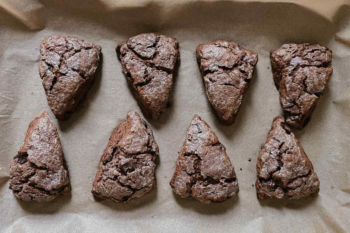 Baked chocolate sourdough scones on parchment lined baking pan
