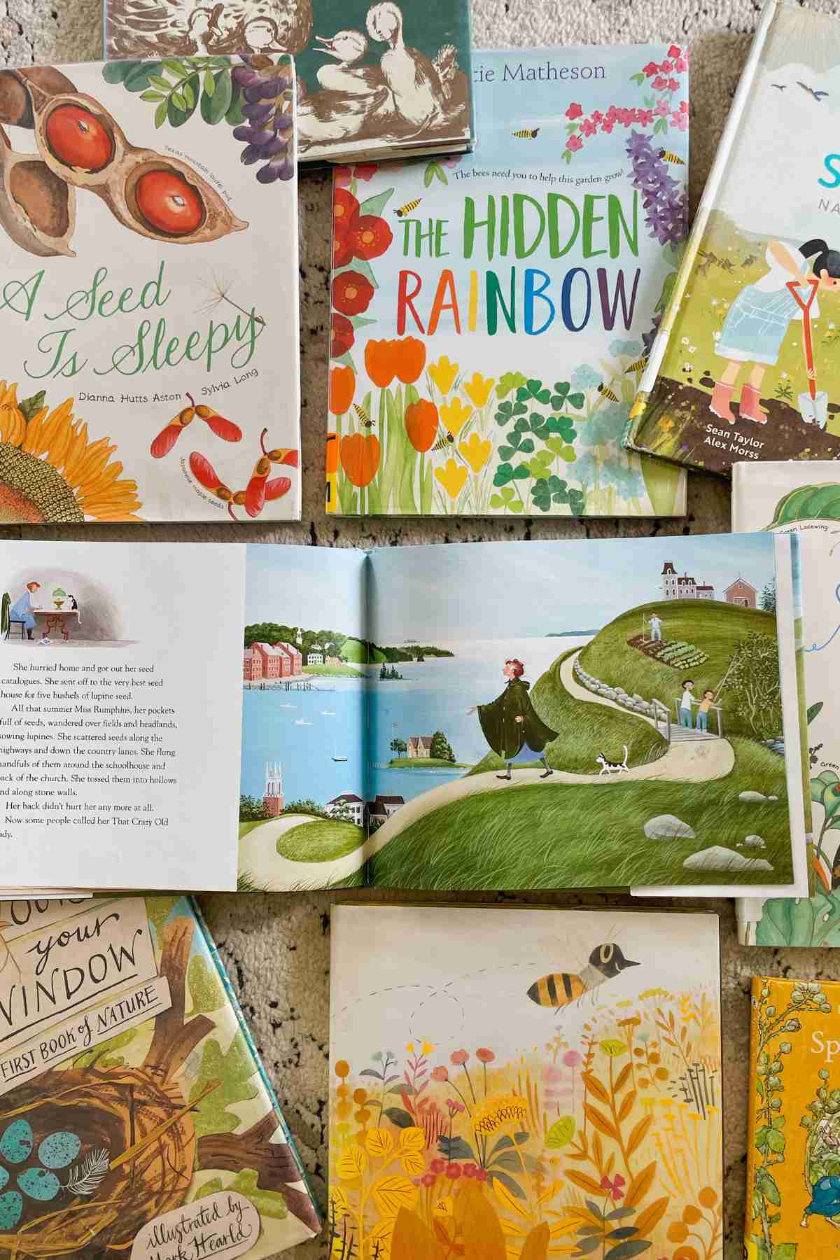 Spring picture books for kids