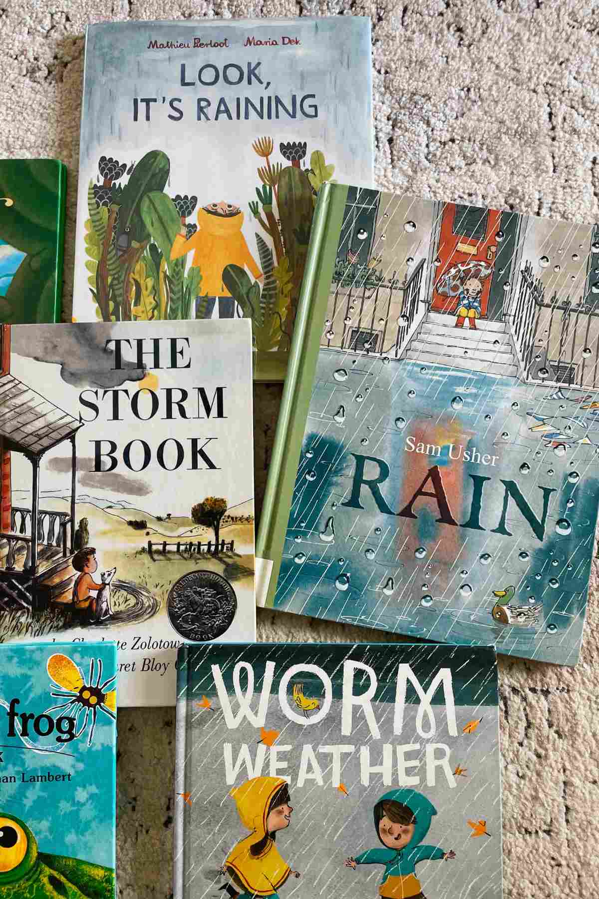 Mud and rain picture books for kids
