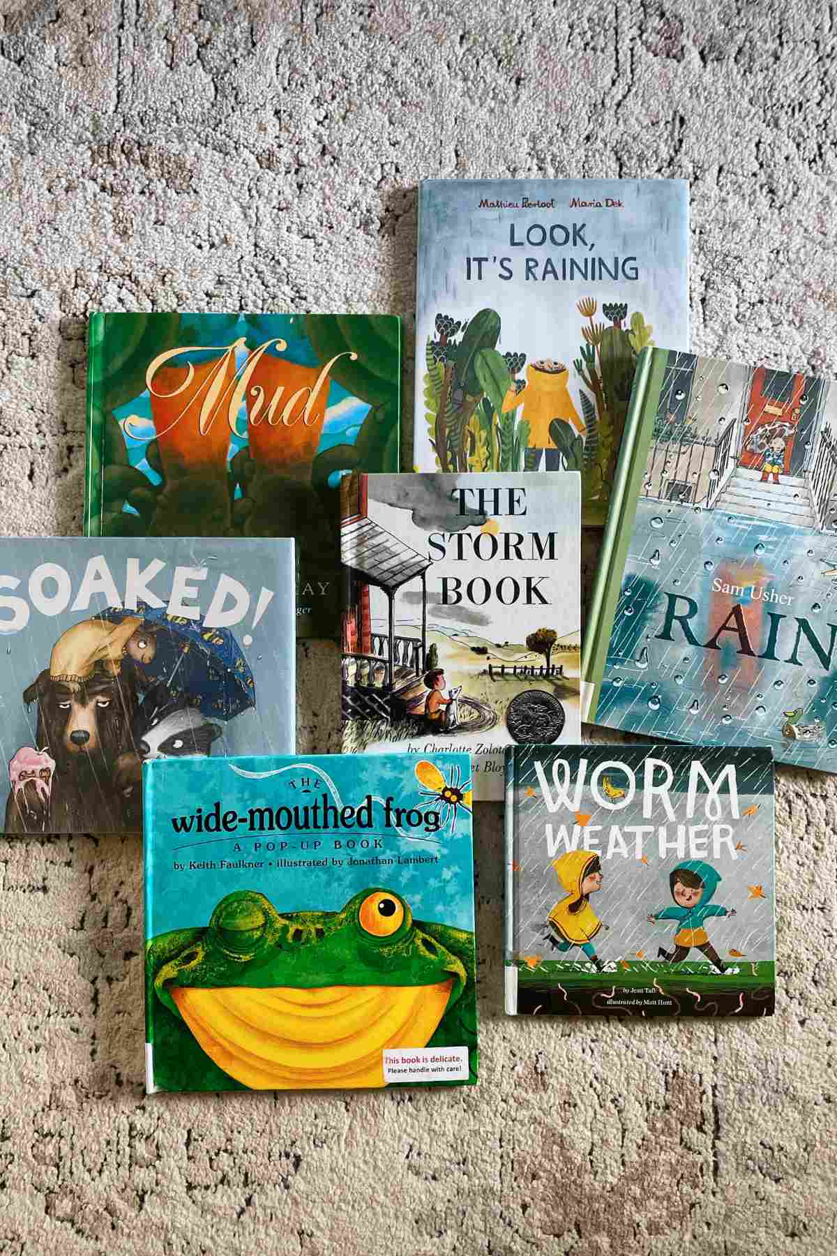 Mud and rain picture books for kids