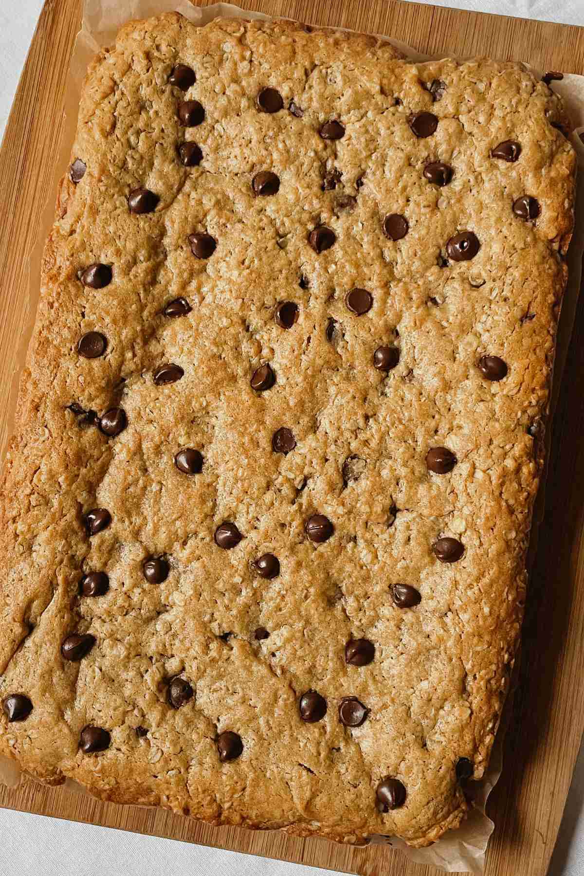 Sourdough peanut butter oatmeal chocolate chip cookie bar