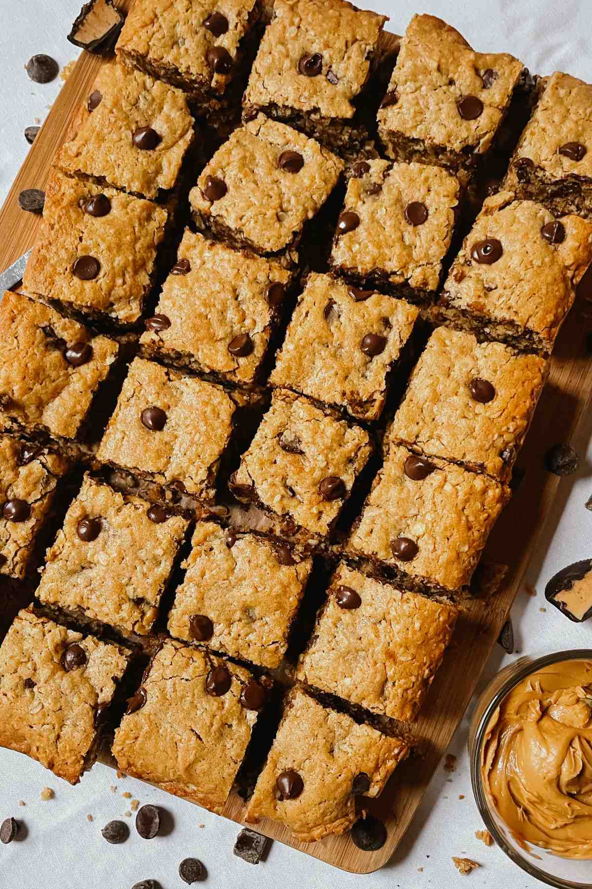 Sourdough peanut butter oatmeal chocolate chip cookie bar squares