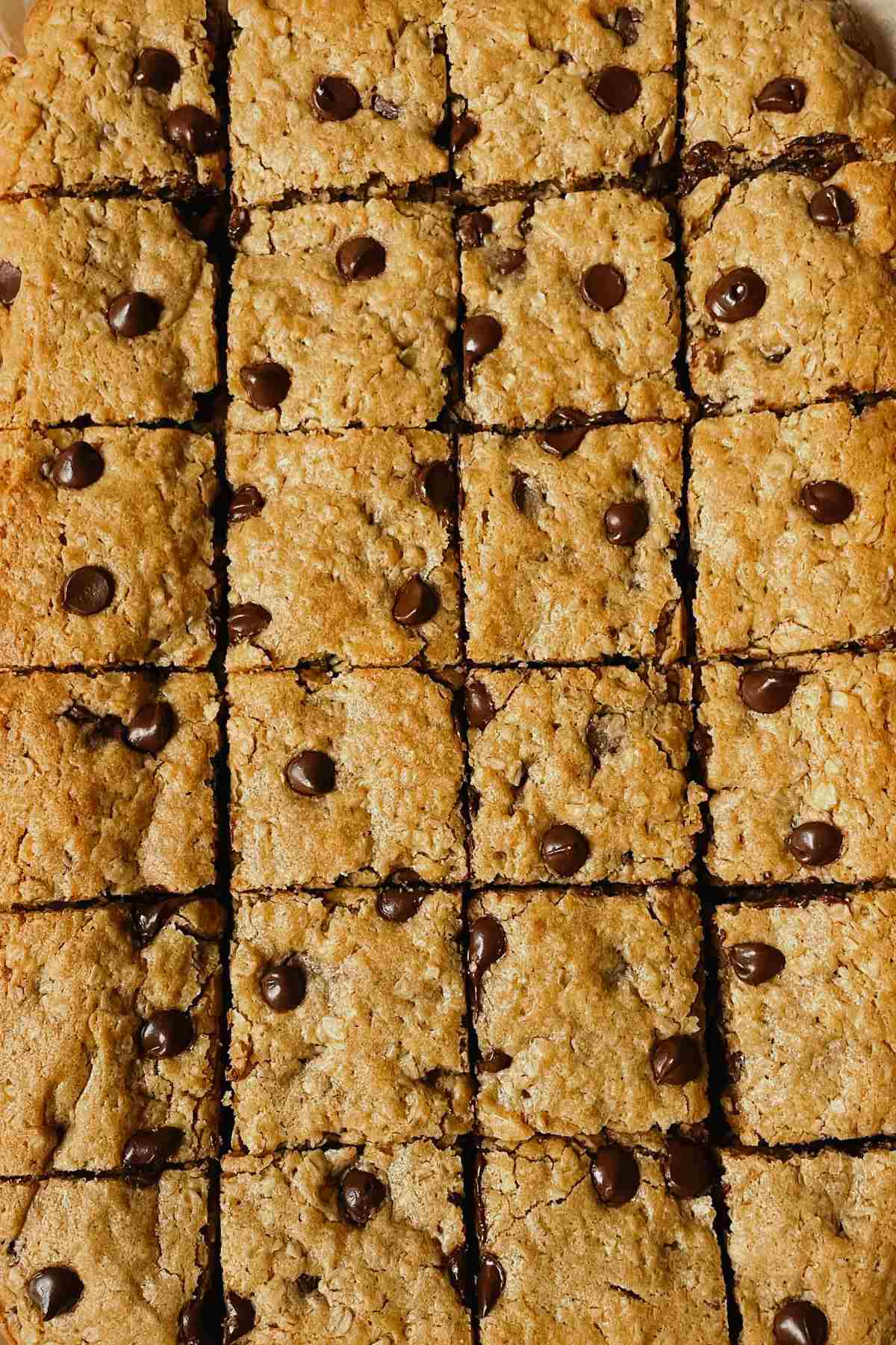 Sourdough peanut butter oatmeal chocolate chip cookie bar squares